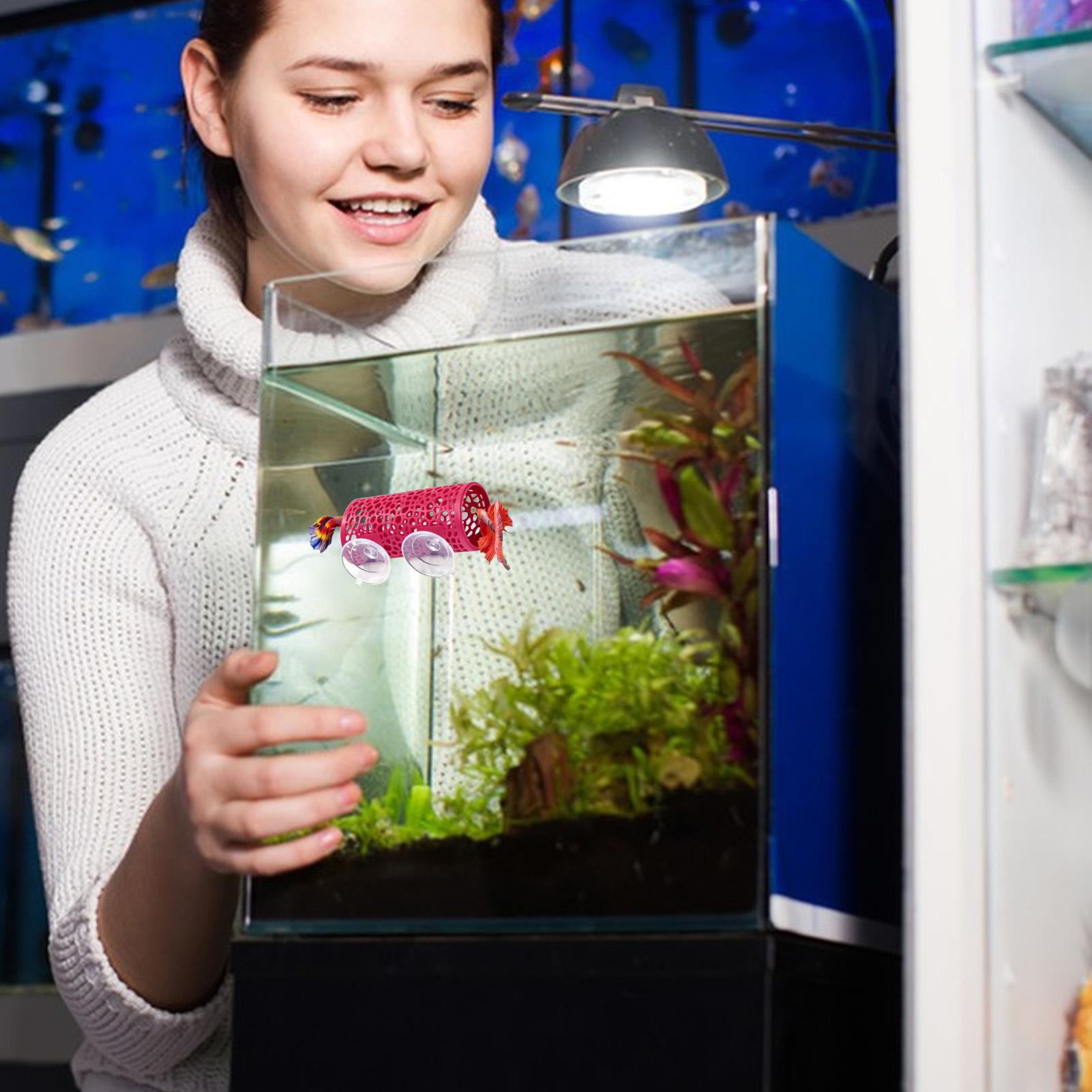 Aquarium Fish Real - Habitat pour betta, abri de repos,