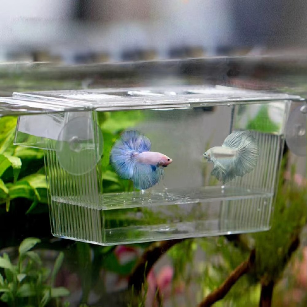 Aquarium Fish Reproduction - Aquarium créatif en acrylique pour l'élevage