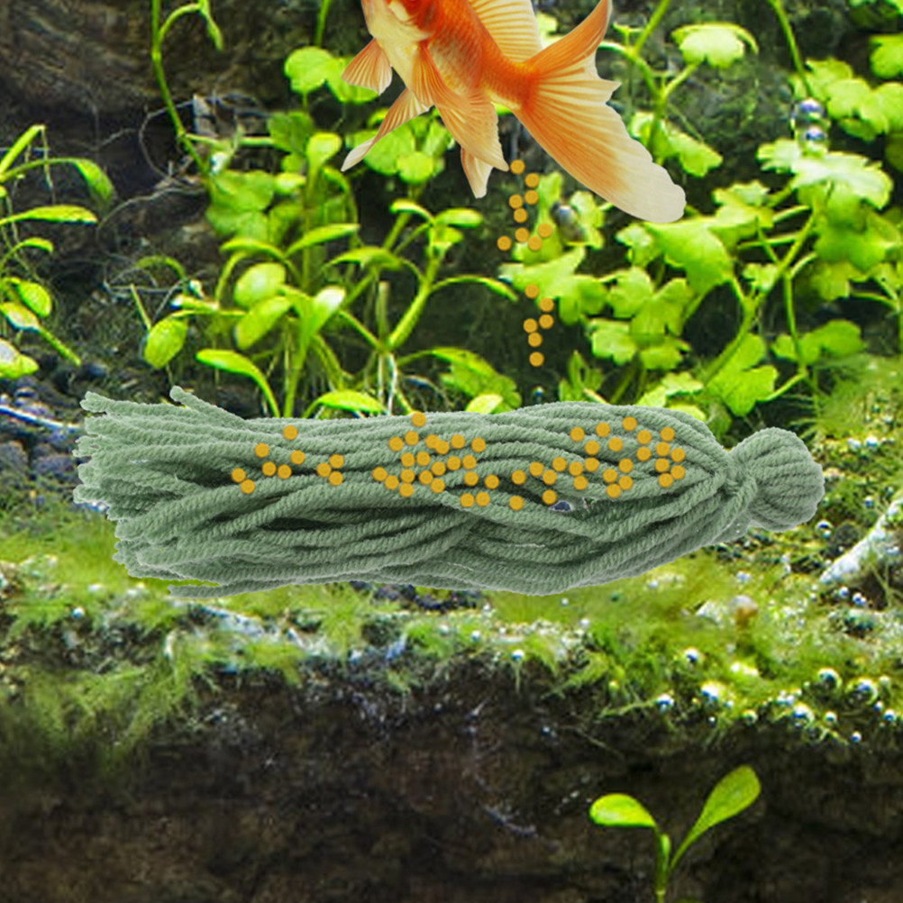 Aquarium Fish Reproduction - 12 pièces de balais de reproduction