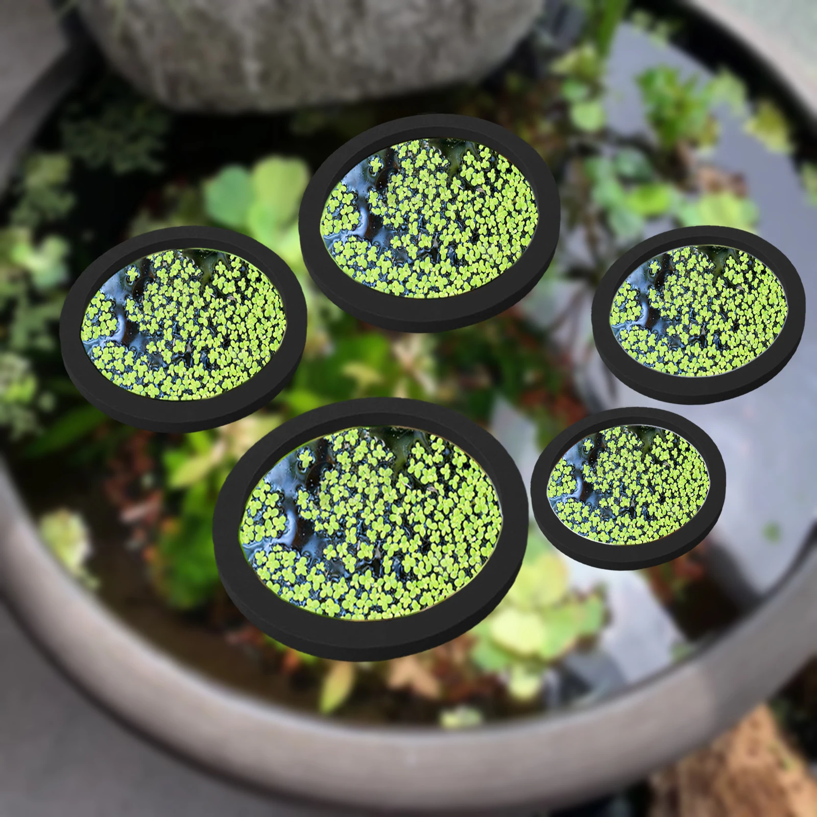 Aquarium Fish Real - Anneaux d'Alimentation pour Aquarium, Plante Flottante,
