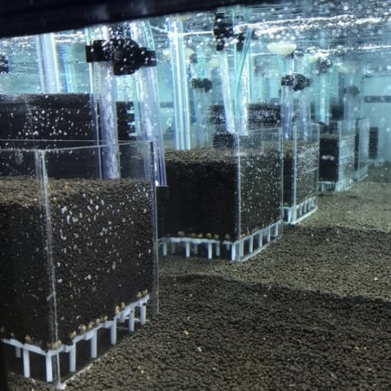 Système de filtration transpar - Aquarium Fish Reproduction avis et prix