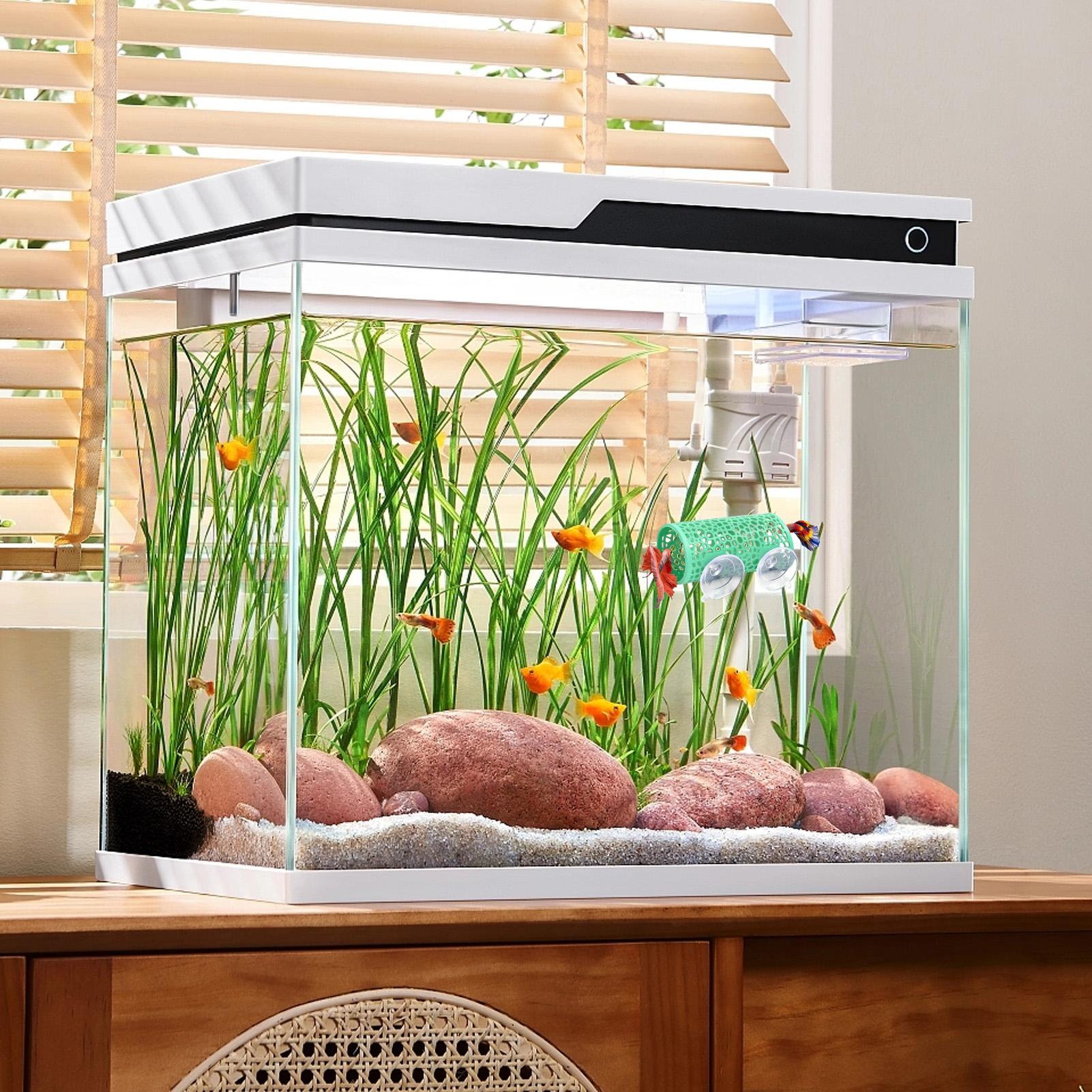 Habitat pour betta, abri de re - Aquarium Fish Real avis et prix
