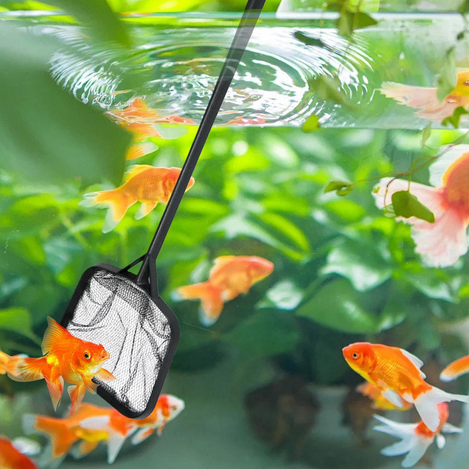 Filets de nettoyage pour pisci - Aquarium Fish Real avis et prix