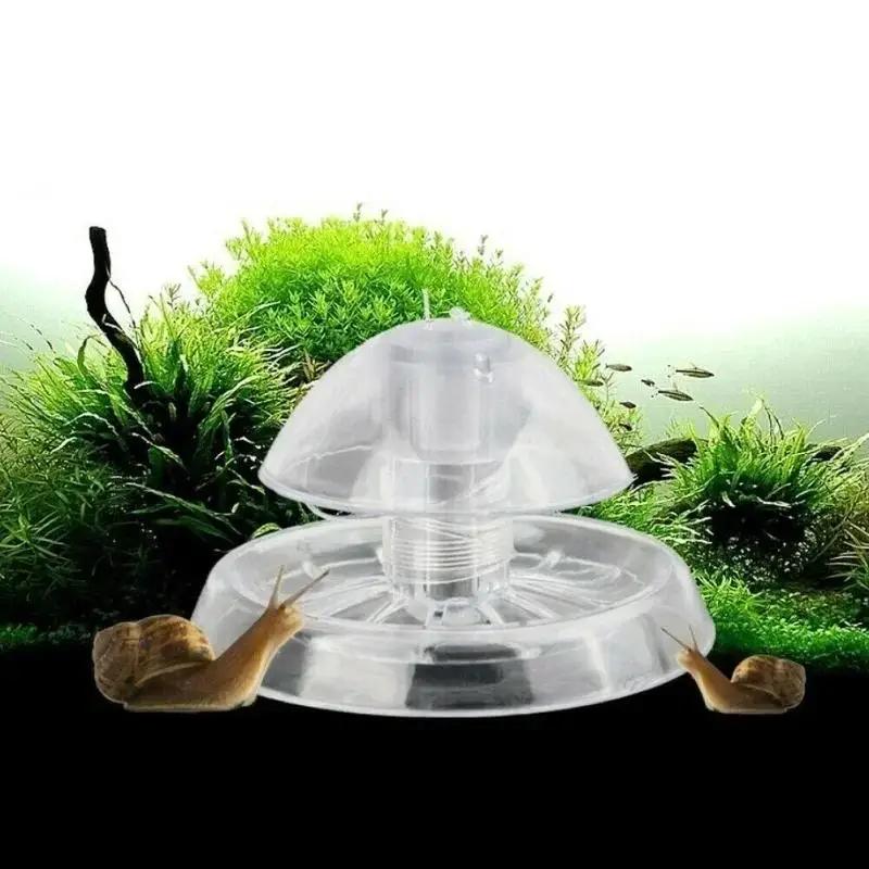 Nouvelle boîte piège à escargo - Aquarium Fish Real avis et prix