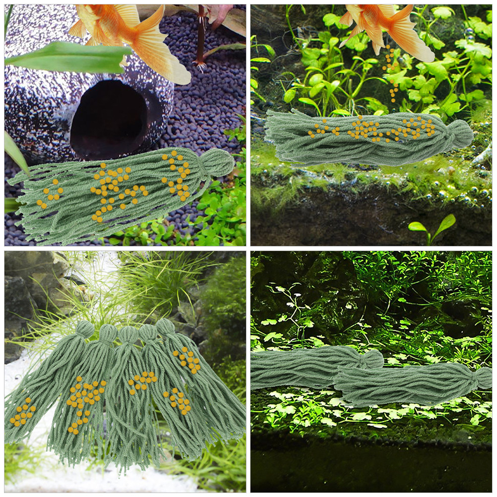 12 pièces de balais de reprodu - Aquarium Fish Reproduction avis et prix