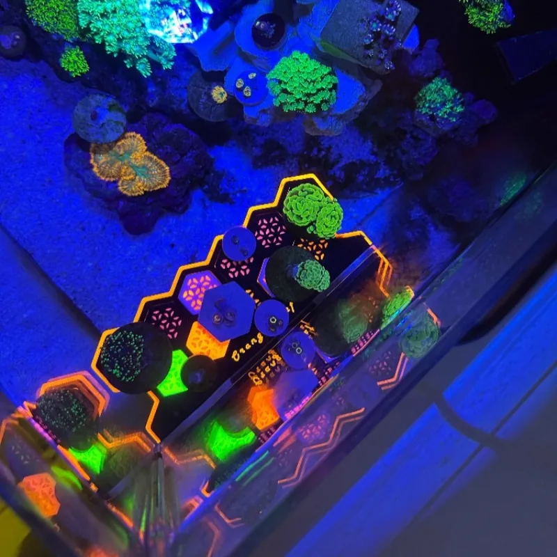 Bases de reproduction de corai - Aquarium Fish Reproduction avis et prix
