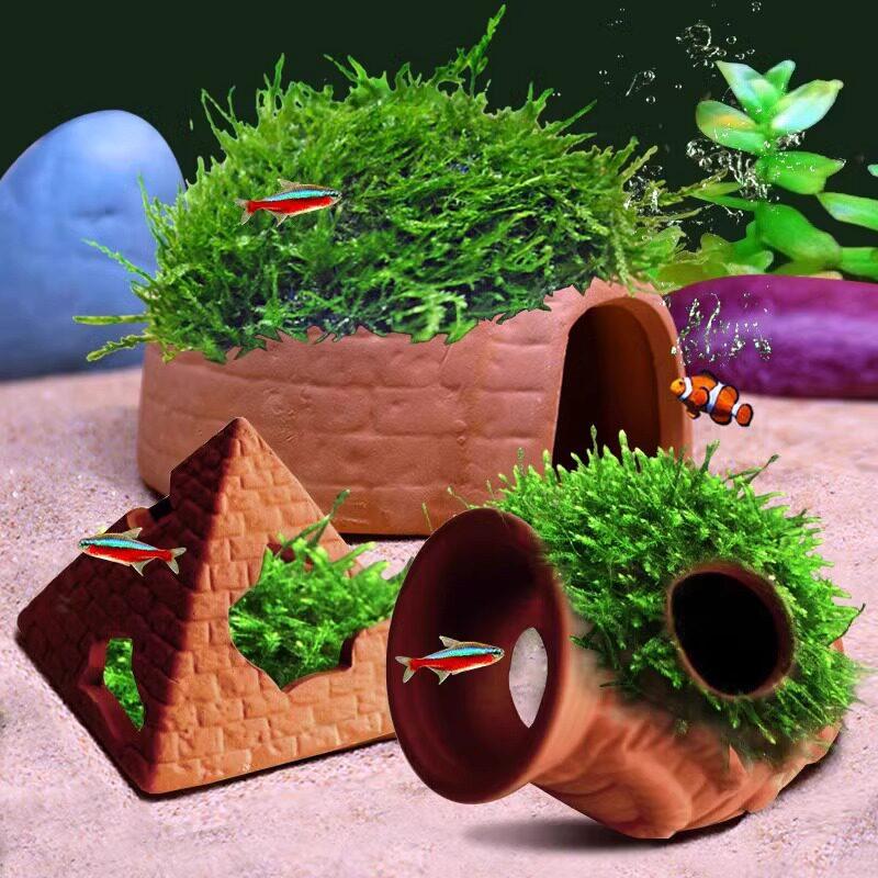   Réservoir en argile avec cac - Aquarium Fish Reproduction avis et prix