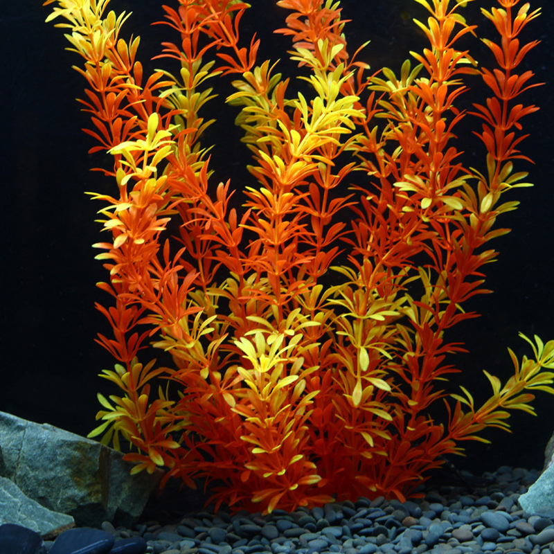 Plantes tropicales artificiell - Aquarium Fish Real avis et prix