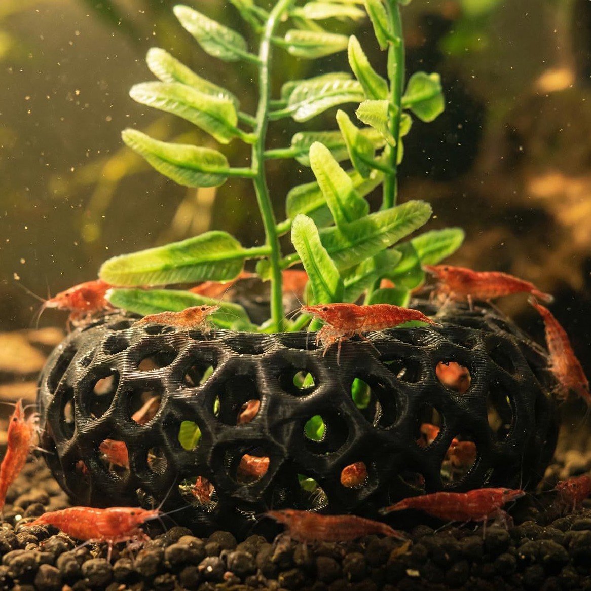 Meilleures ventes : Maison d'é - Aquarium Fish Reproduction avis et prix