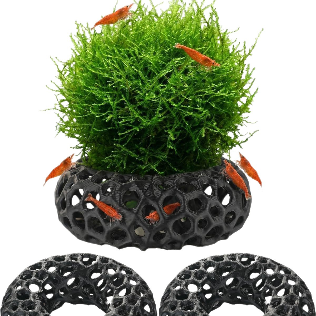 Meilleures ventes : Maison d'é - Aquarium Fish Reproduction avis et prix