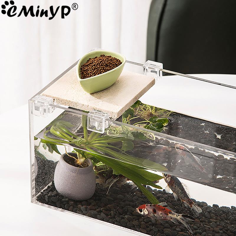 Clips acryliques pour Aquarium - Aquarium Fish Real avis et prix