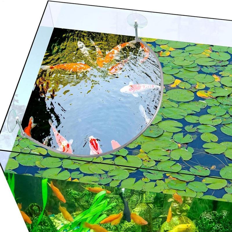 Anneau d'alimentation pour poi - Aquarium Fish Real avis et prix