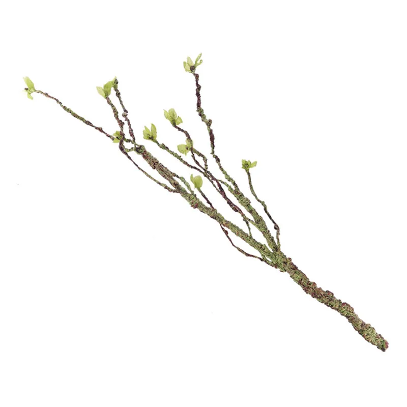 Vignes décor Branches d'escala - Aquarium Fish Real avis et prix